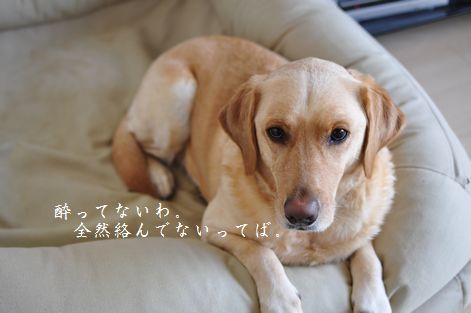 井上かなえオフィシャルブログ 「母ちゃんちの晩御飯とどたばた日記」Powered by Ameba