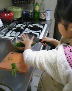 母ちゃんちの晩御飯とどたばた日記