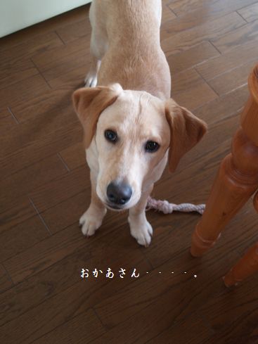お誘いに来ました