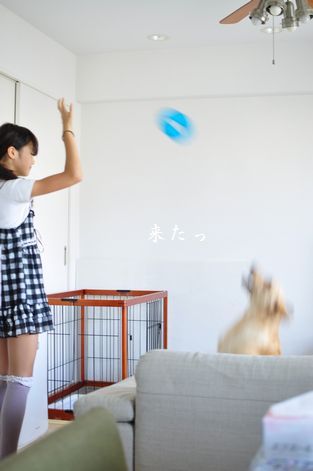 井上かなえオフィシャルブログ　「母ちゃんちの晩御飯とどたばた日記」Powered by Ameba