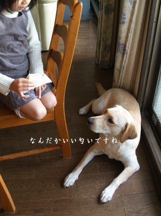 tenkichiのブログ-PC238933