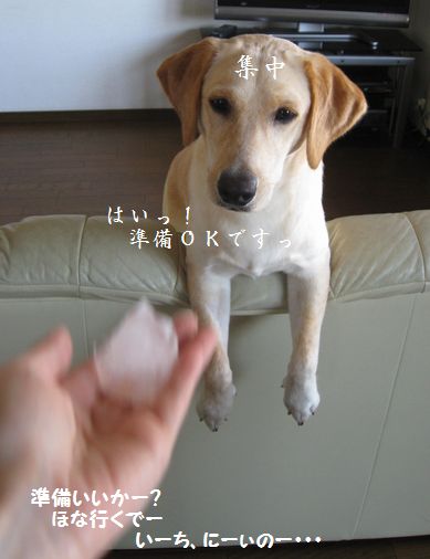 母ちゃんちの晩御飯とどたばた日記-20080718095433