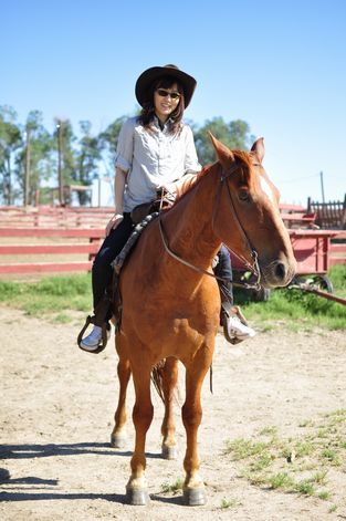 母ちゃんちの晩御飯とどたばた日記