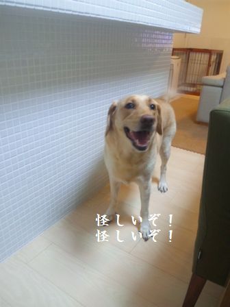 井上かなえオフィシャルブログ　「母ちゃんちの晩御飯とどたばた日記」Powered by Ameba