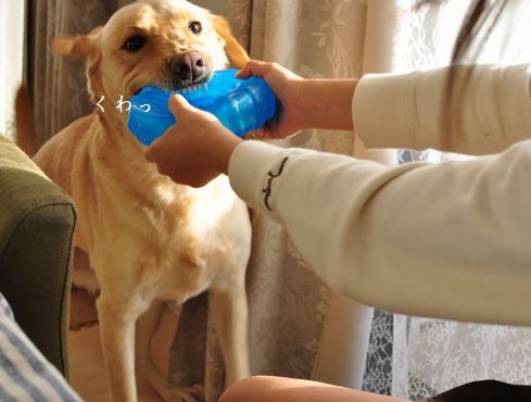 井上かなえオフィシャルブログ　「母ちゃんちの晩御飯とどたばた日記」Powered by Ameba