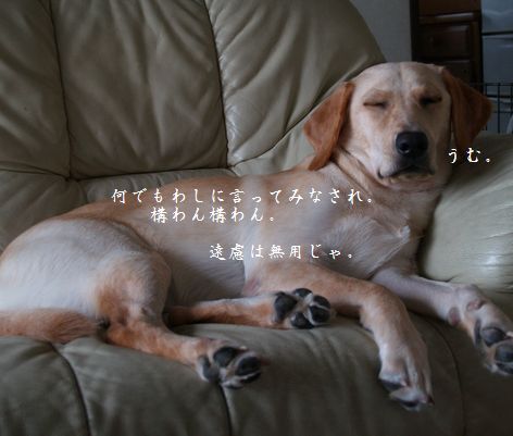 母ちゃんちの晩御飯とどたばた日記-P9256469