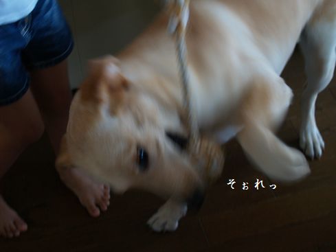 母ちゃんちの晩御飯とどたばた日記-P7254787