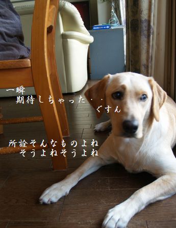 tenkichiのブログ-PC238938
