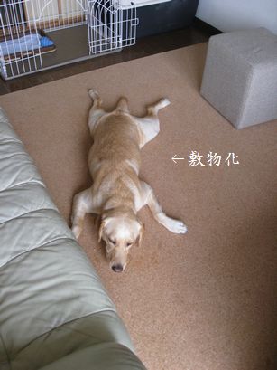 おいしいもの