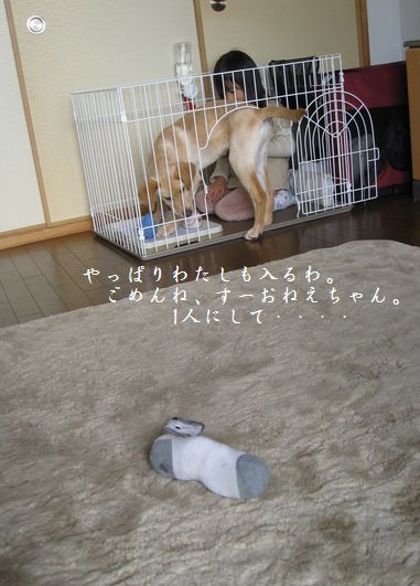 ゲージの中