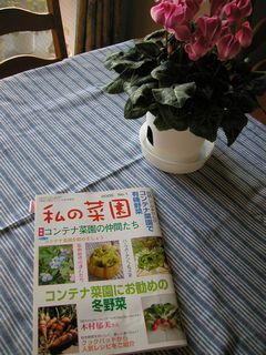 わたしの菜園
