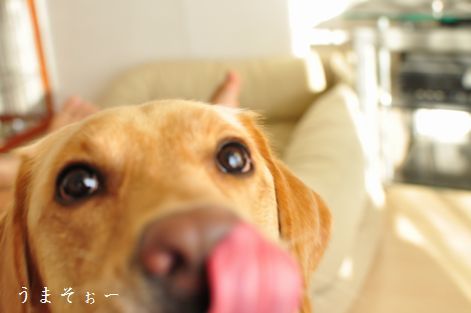 井上かなえオフィシャルブログ　「母ちゃんちの晩御飯とどたばた日記」Powered by Ameba