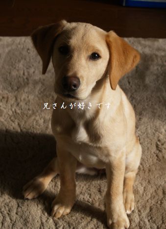 兄さんらぶ