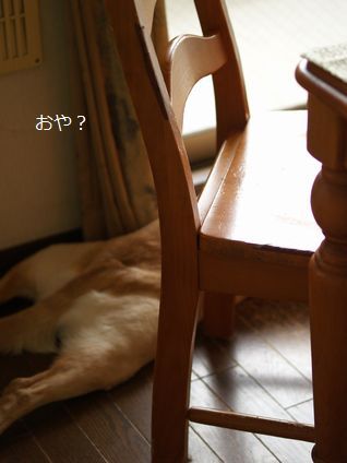 母ちゃんちの晩御飯とどたばた日記