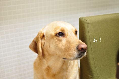 井上かなえオフィシャルブログ 「母ちゃんちの晩御飯とどたばた日記」Powered by Ameba