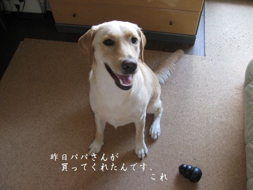 母ちゃんちの晩御飯とどたばた日記-かわいい?