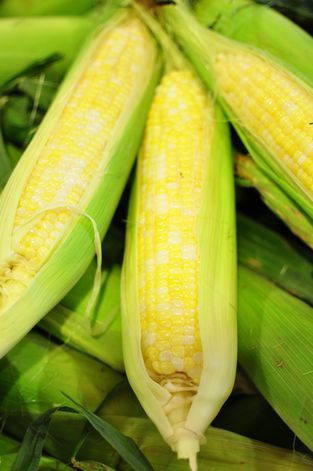 母ちゃんちの晩御飯とどたばた日記