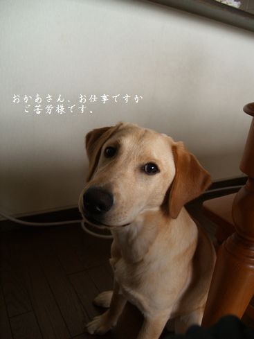 母さんラブ