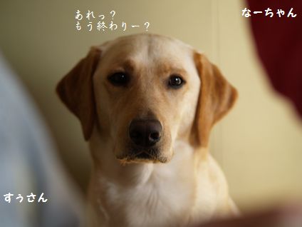 3姉妹