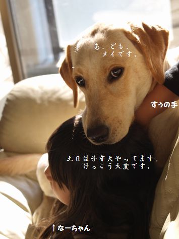 tenkichiのブログ-PC071589