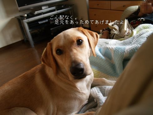 tenkichiのブログ-PB218070