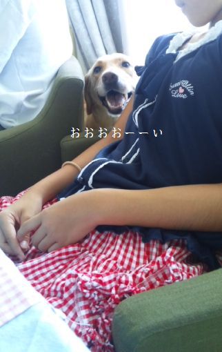 井上かなえオフィシャルブログ 「母ちゃんちの晩御飯とどたばた日記」Powered by Ameba