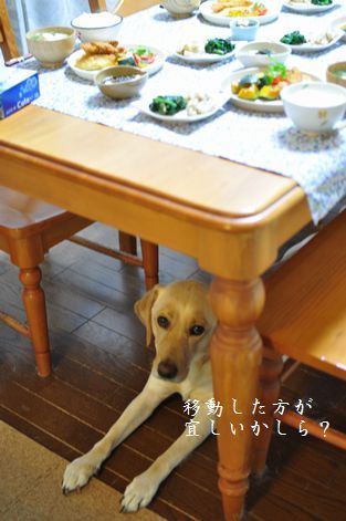 母ちゃんちの晩御飯とどたばた日記