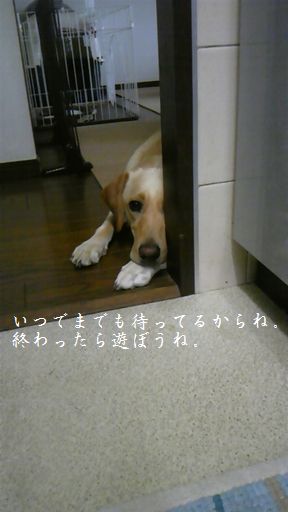 母ちゃんちの晩御飯とどたばた日記