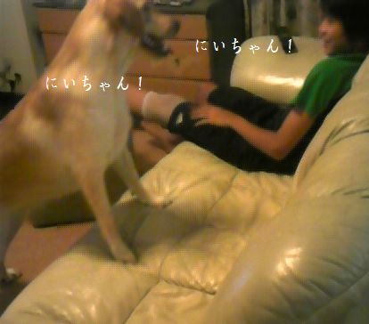 母ちゃんちの晩御飯とどたばた日記