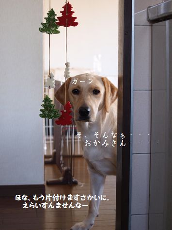 tenkichiのブログ-PC031384