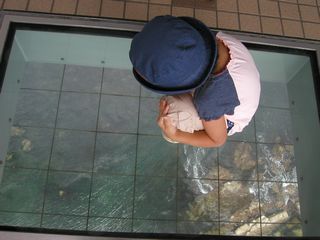 ガラスの上で(お約束)