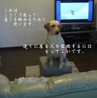 見張り台