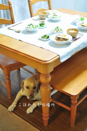 母ちゃんちの晩御飯とどたばた日記