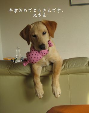 卒業おめでとう