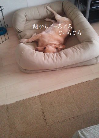 井上かなえオフィシャルブログ　「母ちゃんちの晩御飯とどたばた日記」Powered by Ameba