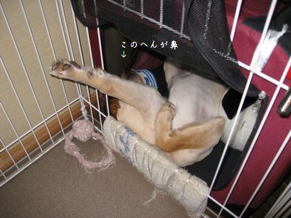 何がどうなっているのか