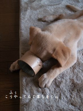 ブレスレット6