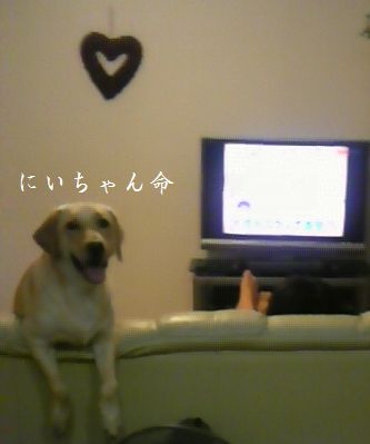 母ちゃんちの晩御飯とどたばた日記