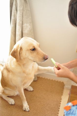 井上かなえオフィシャルブログ　「母ちゃんちの晩御飯とどたばた日記」Powered by Ameba