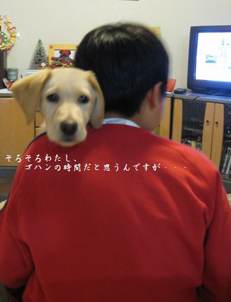 兄さんとメイ2