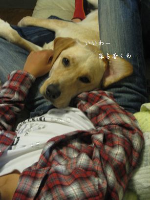 兄さんとメイ