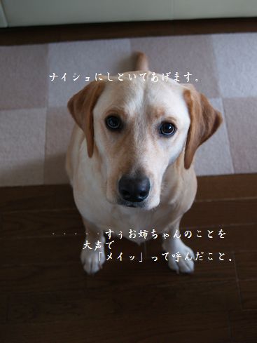 メイさん