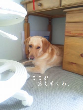 母ちゃんちの晩御飯とどたばた日記