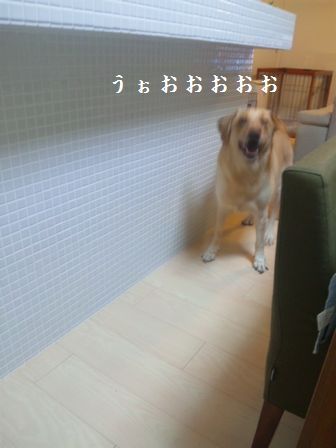 井上かなえオフィシャルブログ　「母ちゃんちの晩御飯とどたばた日記」Powered by Ameba