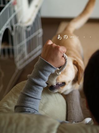 母ちゃんちの晩御飯とどたばた日記