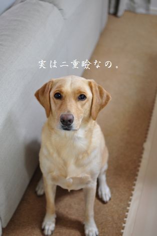 井上かなえオフィシャルブログ 「母ちゃんちの晩御飯とどたばた日記」Powered by Ameba