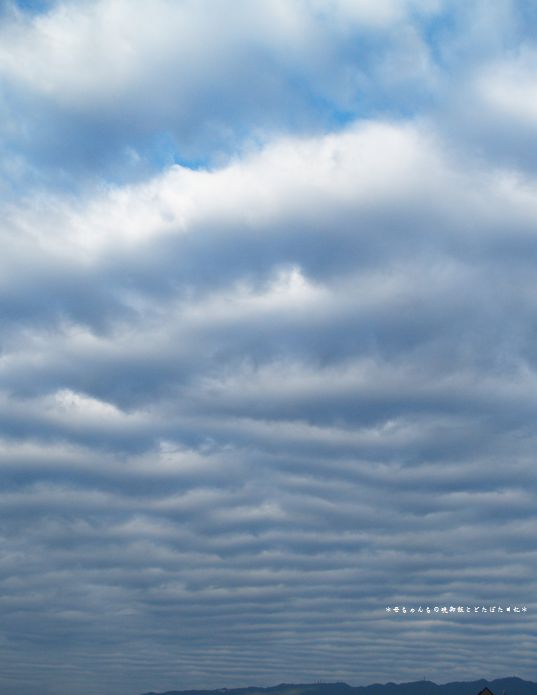 朝の空