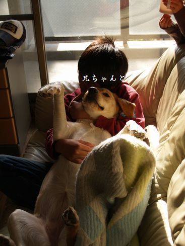 tenkichiのブログ-PC299337
