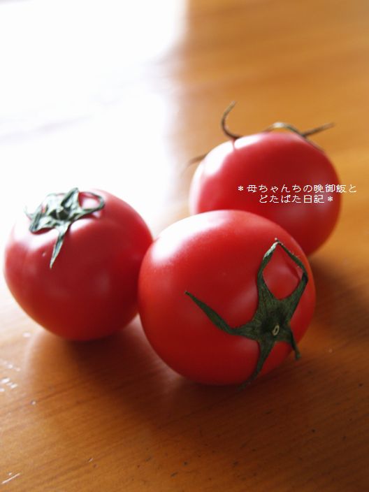 濃厚ヽ(´▽`)/