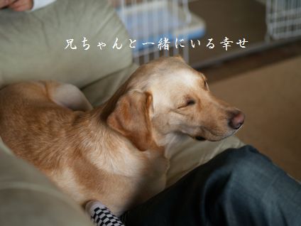 母ちゃんちの晩御飯とどたばた日記